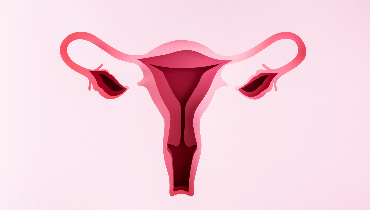 blocked-fallopian-tubes-causes-symptoms-treatment