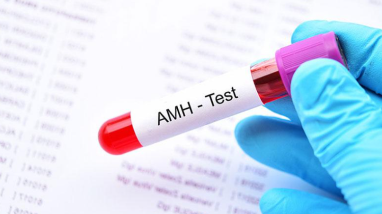 low-amh-levels-fertility-pregnancy