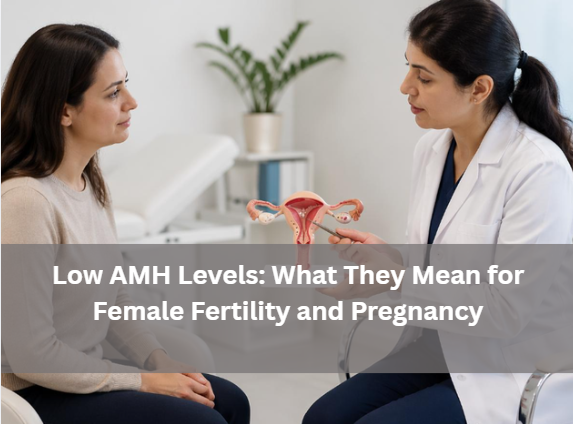 low-amh-levels-fertility-pregnancy